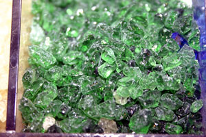 Spruce Green