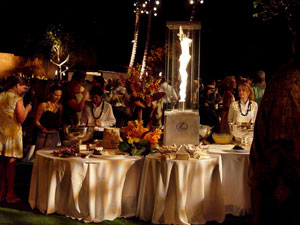 LEXUS 3