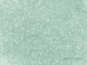 blue juniper 300