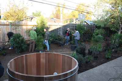 YARD CRASHERS SAC 2