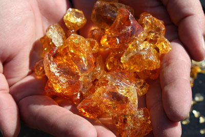 yellow amber 6