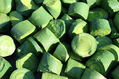 lime 2