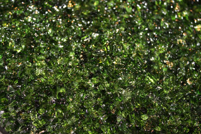 olive green topping 1