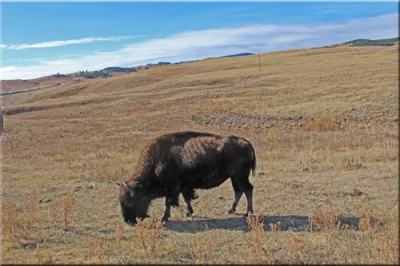 South Dakota Fun