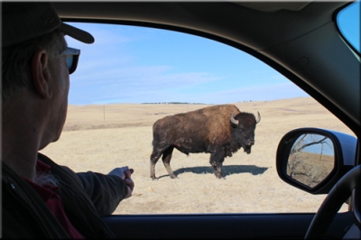 South Dakota Fun