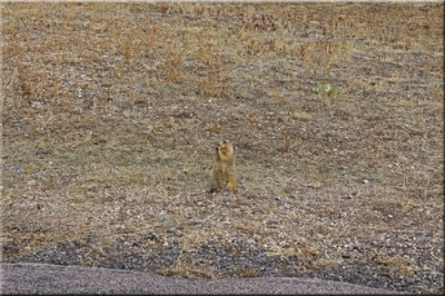 South Dakota Fun