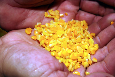 tangerine 2